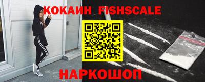 гашик Камышлов