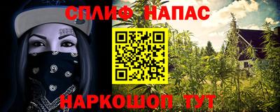гашик Камышлов