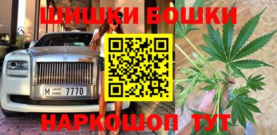 гашик Камышлов