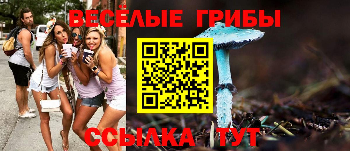 Псилоцибиновые грибы мухоморы Балашов